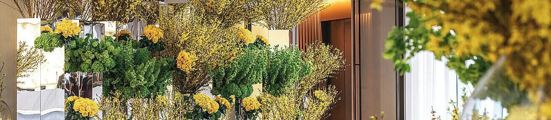 Luxury Hotels