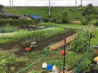 Guest House Ilonggo Hotels in 