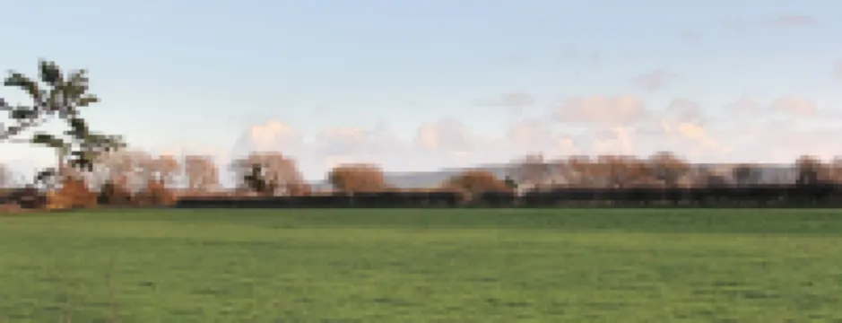 Marshlands Annexe