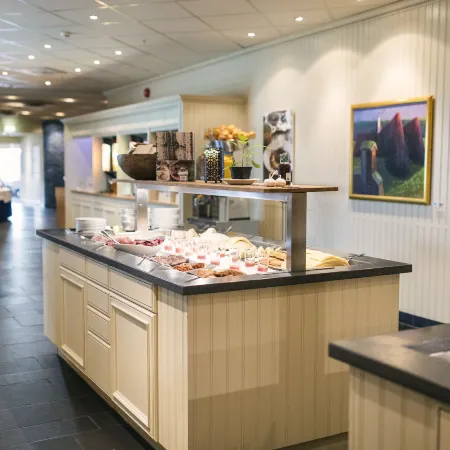 Røros Hotell - Bad & Velvære Отели в г. Ророс