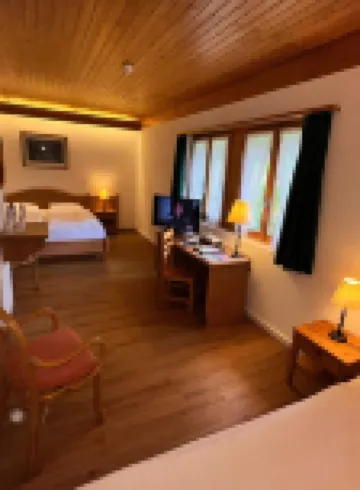 Hôtel Roc & Neige Hôtels à : Riviera-Pays-d'Enhaut