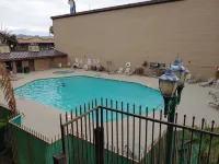 The New Pioneer - Pools