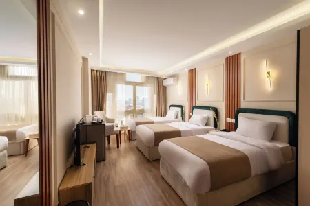 Museum And Nile View Hotel Отели рядом с достопримечательностью «Мечеть аль-Акмар»