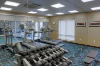 Fairfield Inn & Suites Mobile Daphne/Eastern Shore - gimnasio
