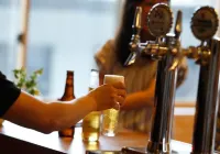 Mount Inn - bar