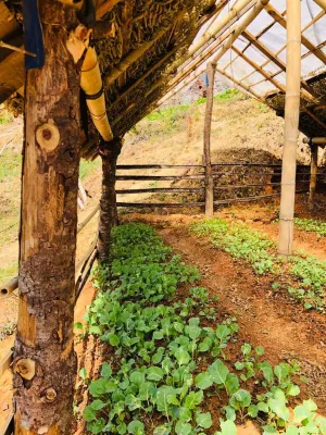 Mount Mahabharat Homestay