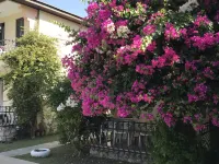 Gorkem Apart Hotel Hotels in Gocek