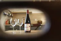 Nature & Chateaux Hotels in Chinon