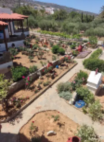 Villa Katerina Holiday Apartments