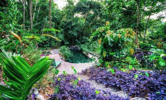 La Shamana - Ecological Concept in Jungle