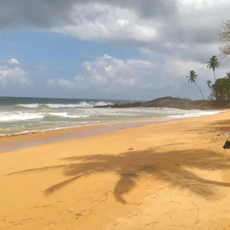 Ocean of Life Ayurvedic Resort