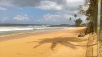 Ocean of Life Ayurvedic Resort Hotels in Induruwa