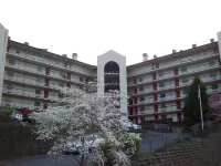 Gatlinburg Chateau Rentals - Homestays
