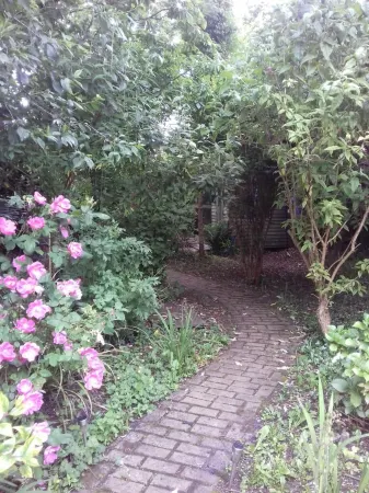 Town House Отели в г. Клэр