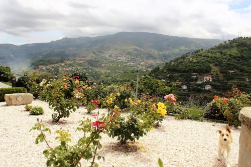 Casa Nova Agroturismo Hotel a São João de Fontoura
