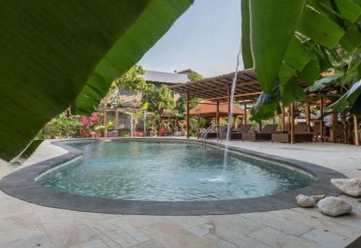 4. 사누르 로지..