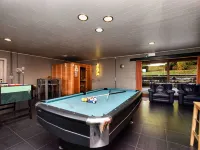 뒤르뷔 근처의 빌라, 사우나 및 놀이 공간 있음