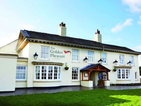 The Golden Pheasant