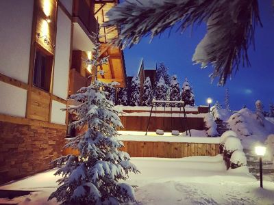Villa Natural Wood