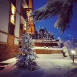 Villa Natural Wood Hotels in 