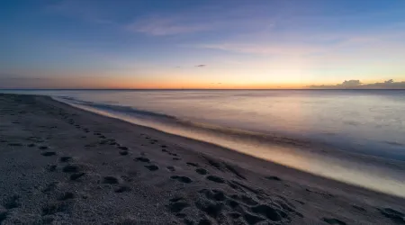 Waterfront Pink House with Private Dock & Pool Отели рядом с достопримечательностью «Кэптива Север-Энд Бич Аксесс»