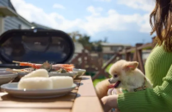 سولانافوجياماناكاكو