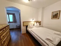 Wonderful Apartment With Views of the Slopes