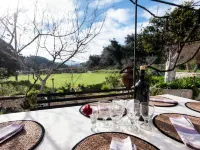 Green Yard Retreat - Family Getaway in Sidari Corfu Hotels in Esperii