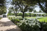 Relais Il Santissimo Hotels in Turi