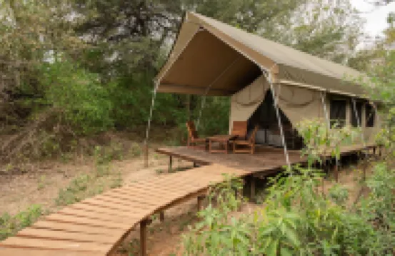 Glamping Los Palmares Hotels in 