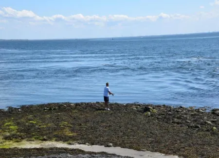 Relaxing Nature Retreat w Beach