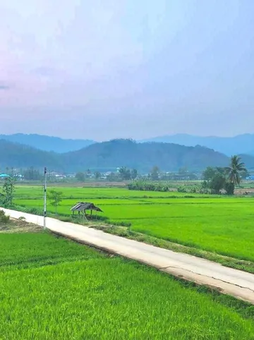 รูปภาพของเดอะกรีน ซีซั่น รีสอร์ท เชียงราย