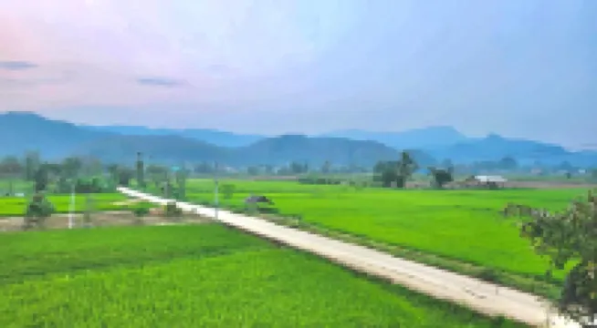 ザ・グリーン シーズン リゾート