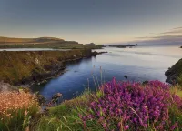 Tralee Townhouse Holiday Home by Trident Holiday Homes Hotel di Castlemaine