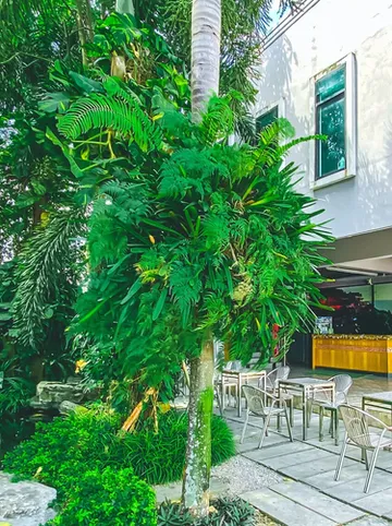 รูปภาพของK2 Hotel@Thachang Suratthani โรงแรมเคทู ท่าฉาง สุราษฎร์ธานี