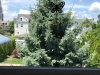 Stunning 3-Bedroom, 2-Bath Home w/ Attic – 38 Minutes from NYC by Train