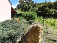 Alghero magnificent villa Laurus with pool in Valverde 122 D