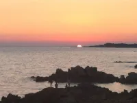 Apartment ideally located facing the sea, on the beach of Tizzano in Southern Corsica