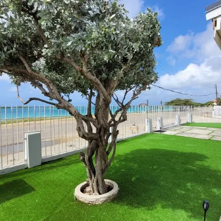 OCEAN FRONT-SUNSETS-PRIVATE POOL2 or 3 bedrooms