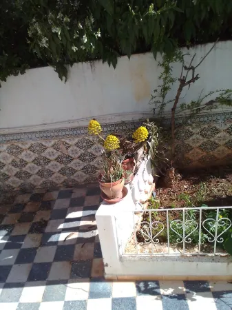 appartement s+1 ksar said 2 , acces jardin Отели в г. Бардо