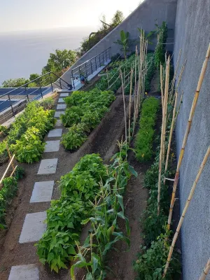 Villa Brava Atlântico Hotels in Ribeira Brava