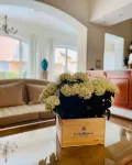 Hotel la Pigna Hotels in Pietrasanta