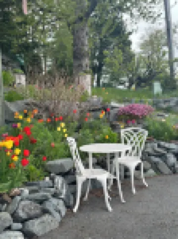 프런트 로우 B&B