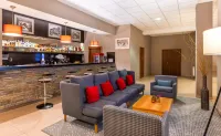 Hotel Krynica Conference & SPA - bar