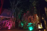 Casa del Arbol