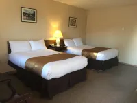 Siesta Motel Hotels in Olds