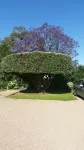 Town Central Motel Hotels in Bairnsdale