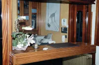 Hotel Cabeza