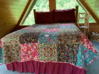 Alaska Adventure Cabins Hotels in Anchor Point