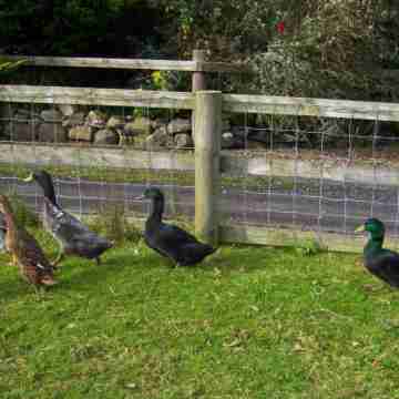Valley Lodge Room Only Guest House Hotel Exterior